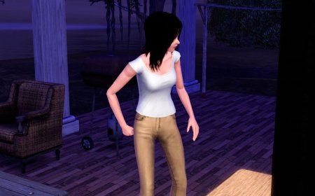 Воры и клептоманы среди симов в The Sims 3