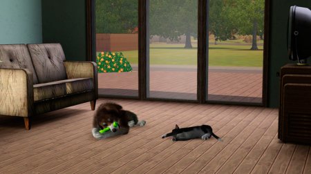 Развитие навыка охоты у питомцев в The Sims 3 Питомцы