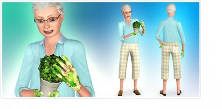 Дизайнерский набор Sims 3 Сельская жизнь